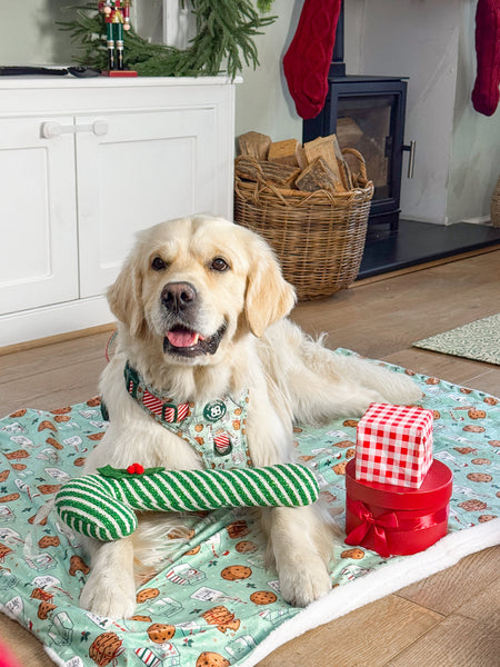 Dog Blanket - Milk & Cookies