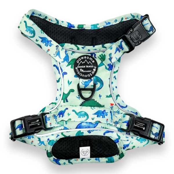 Tough Trails Harness - Dinky Dino - Patterned Border