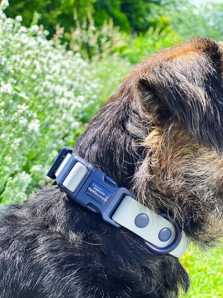 Waterproof Collar - Dusky Blue + Navy