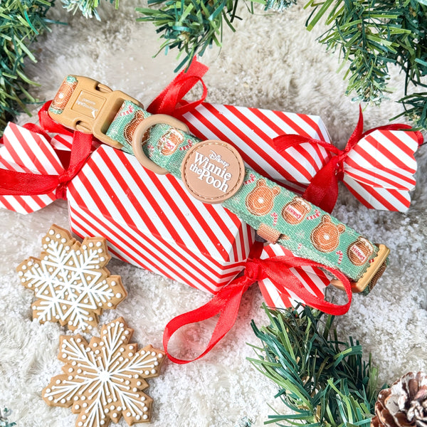 Disney© Collar - Gingerbread Bear Sage