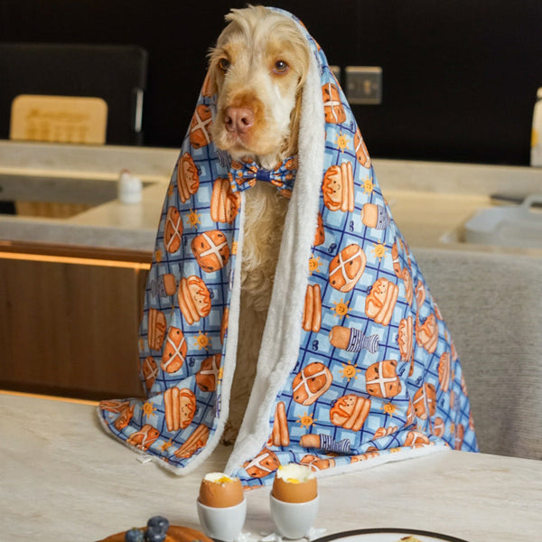 Dog Blanket - Rise & Shine