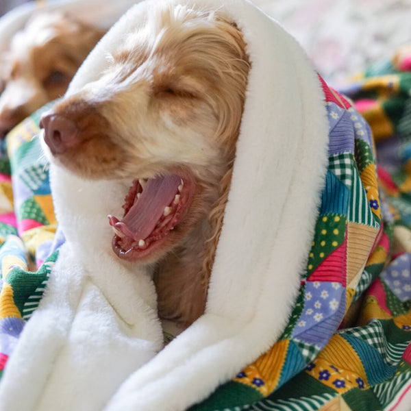 Dog Blanket - Patchwork