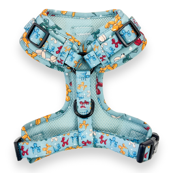 D-Ring Adjustable Harness - Party Animal Teal