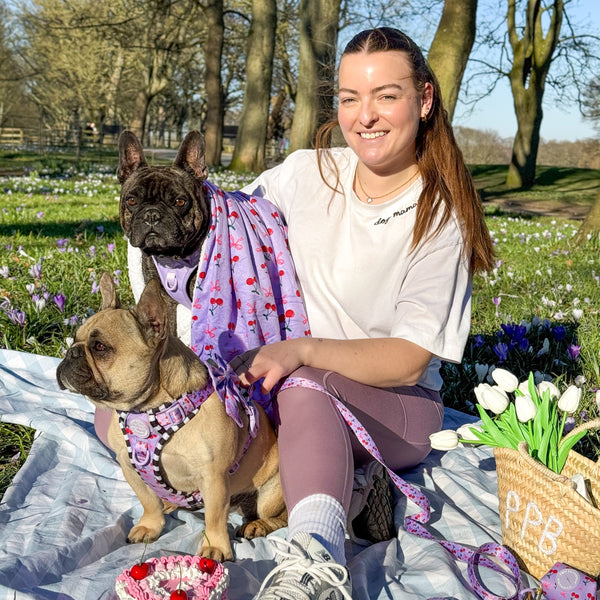 Dog Blanket -  Cherry Bomb