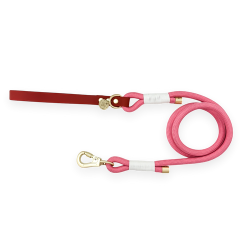5ft Rope Lead - Red + Pink