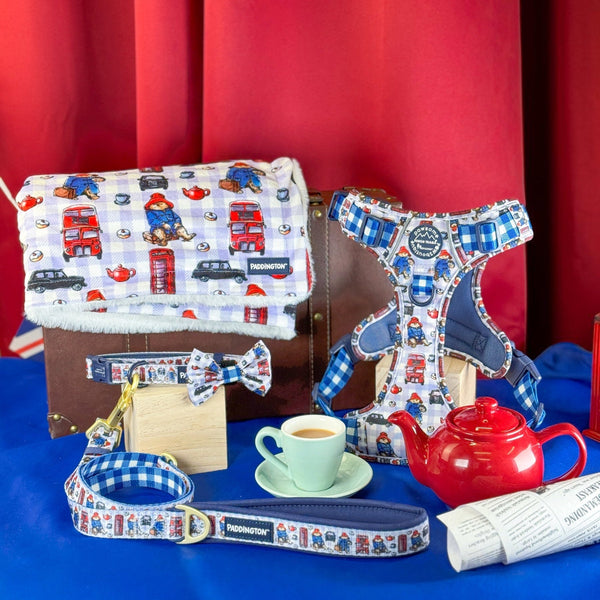 Paddington™ Dog Blanket - London