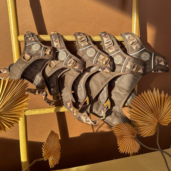 Tough Trails™ Harness - Walkies Ready® Chocolate Brown