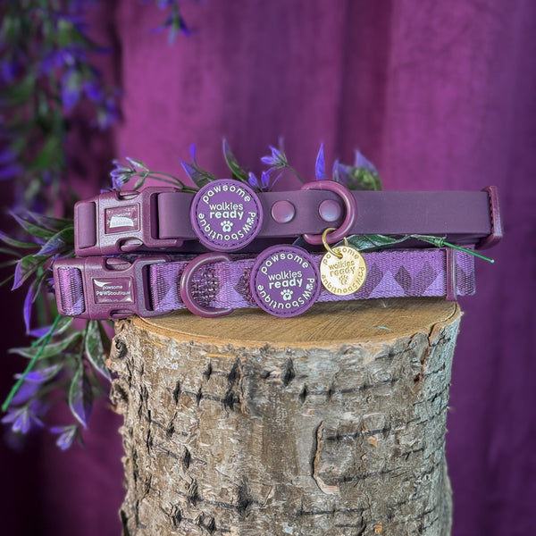 Collar – Walkies Ready® Plum