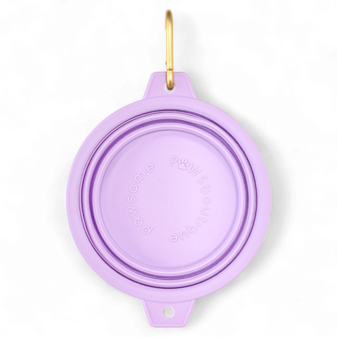 Collapsible Dog Bowl - Lilac (Gold Clip)