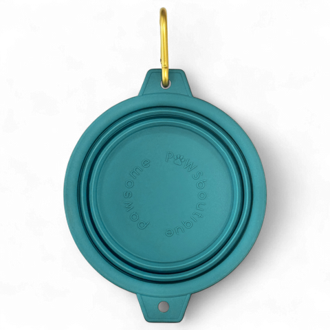 Collapsible Dog Bowl - Teal (Gold Clip)