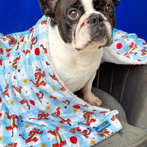 Disney© Dog Blanket - Tigger