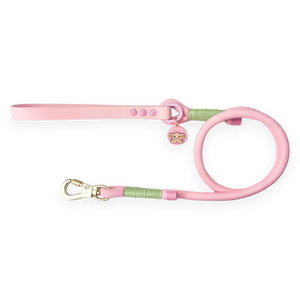 Disney© 4ft Rope Lead - Nala - Pink