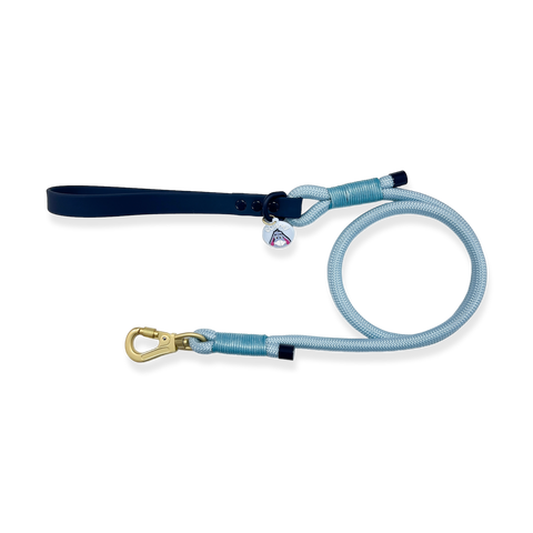 4ft Rope Lead - Eeyore - Baby Blue and Navy