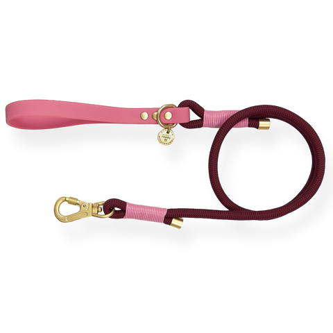 4ft Rope Lead - Mulberry