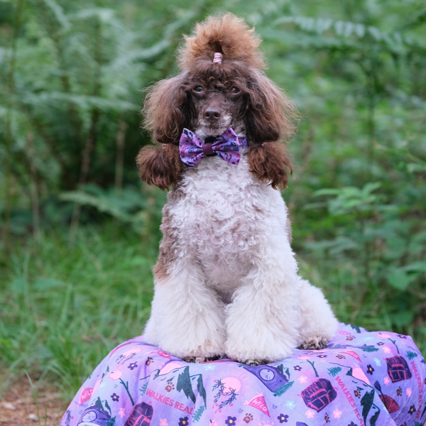 Bow Tie - Roaming Wild