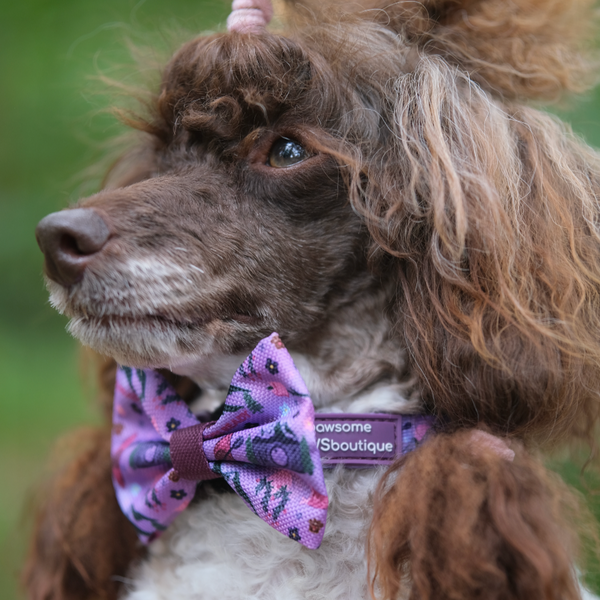 Bow Tie - Roaming Wild