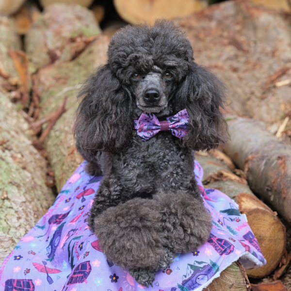 Bow Tie - Roaming Wild