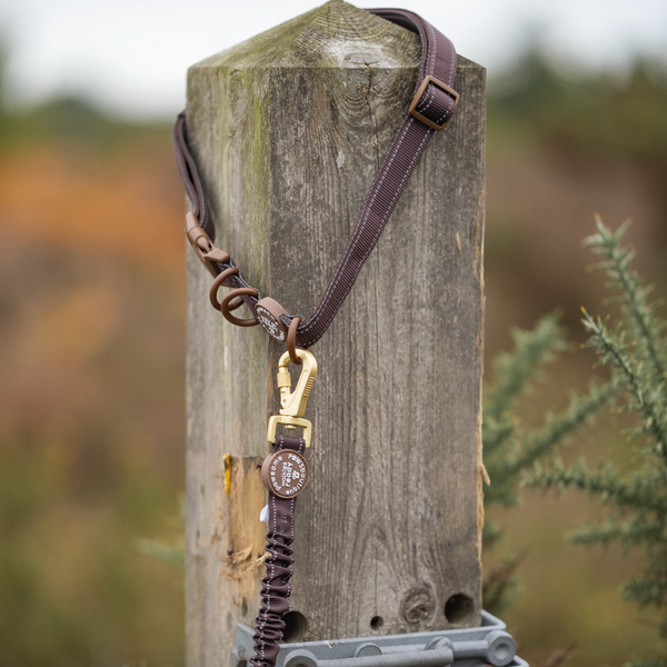 Handsfree Lead - Walkies Ready® Chocolate Brown