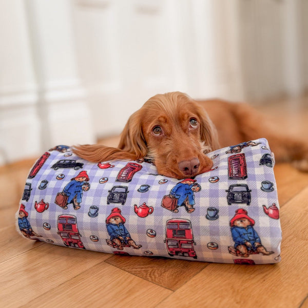 Paddington™ Dog Blanket - London