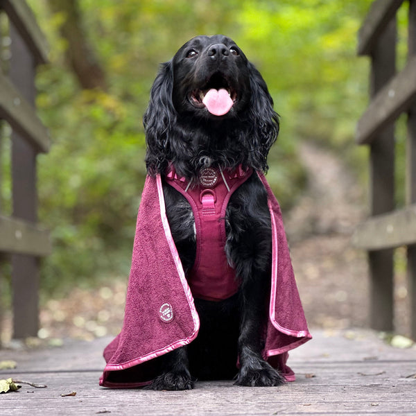 Microfibre Towel - Walkies Ready® Mulberry