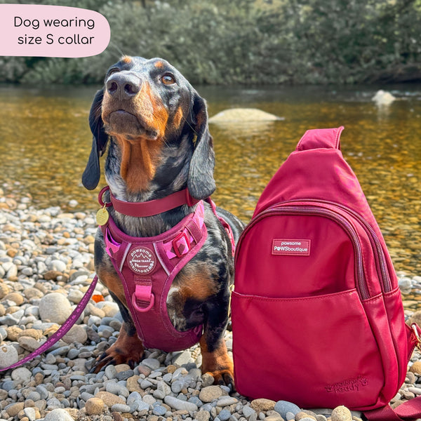 Waterproof Collar - Walkies Ready® Mulberry