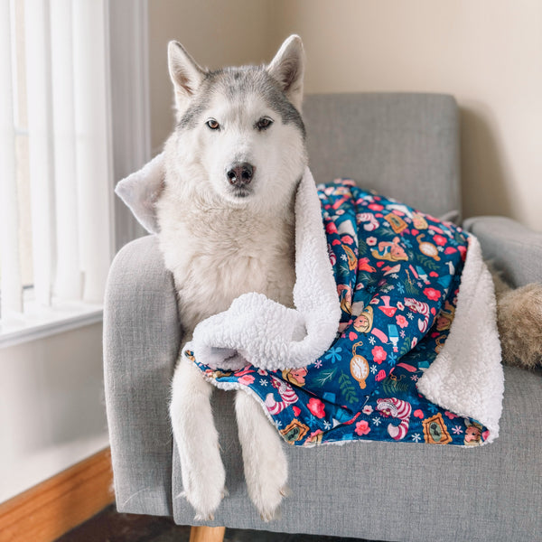 Dog Blanket - Alice In Wonderland