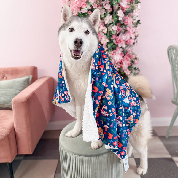 Dog Blanket - Alice In Wonderland