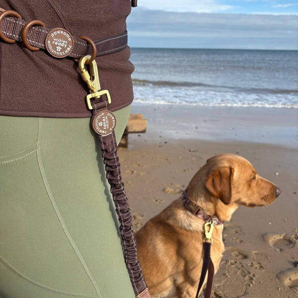 Handsfree Lead - Walkies Ready® Chocolate Brown