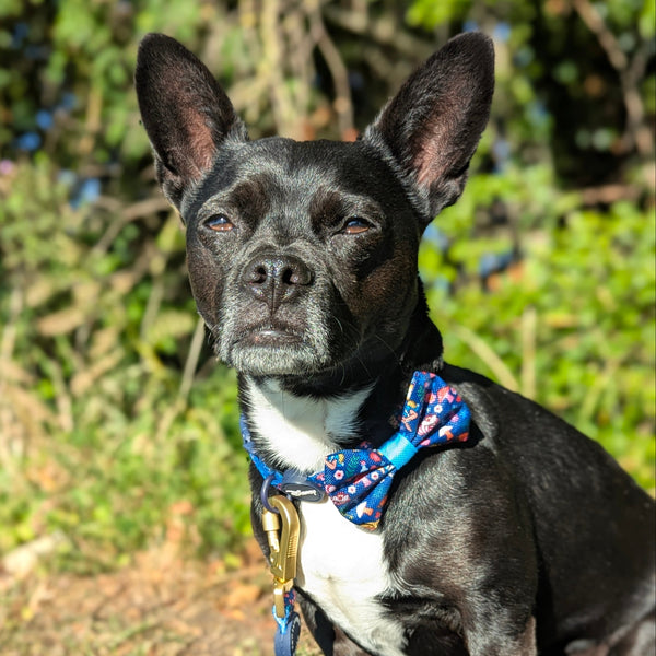 Bow Tie - Alice In Wonderland