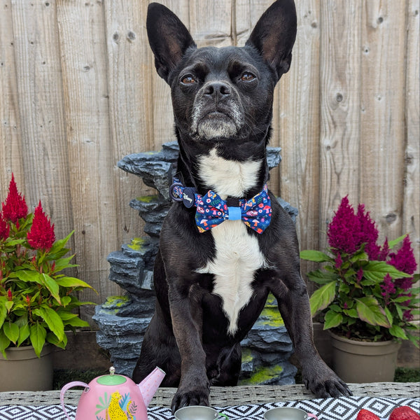 Bow Tie - Alice In Wonderland