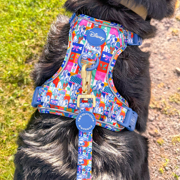 Disney© Lead - Lady + The Tramp