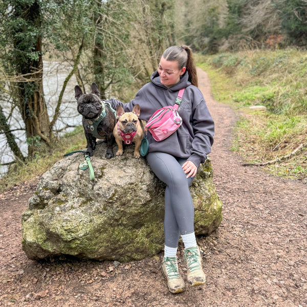 All In One Bumbag - Walkies Ready® Pink/Green