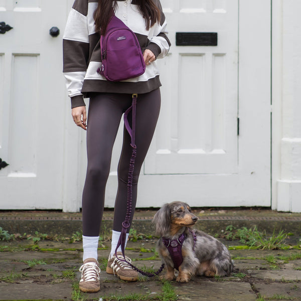 Handsfree Lead - Walkies Ready® Plum