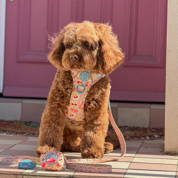 Poo Bag Holder - Summer Vacay