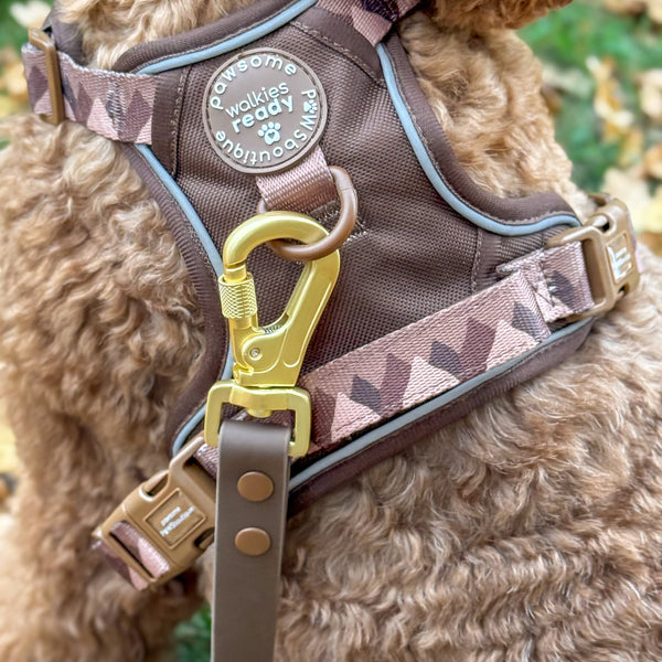 4ft Waterproof Lead - Walkies Ready® Chocolate Brown