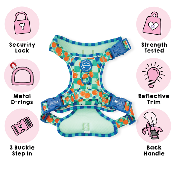 Tough Trails™ Harness -  Fruit Punch