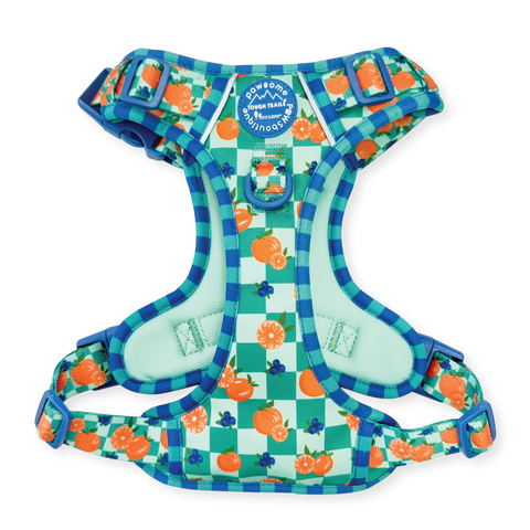 Tough Trails™ Harness -  Fruit Punch