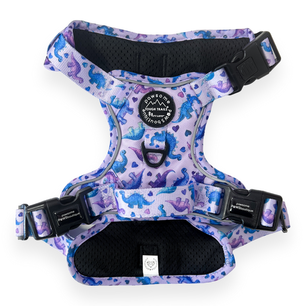 Tough Trails Harness - Tiny Diny - Patterned Border