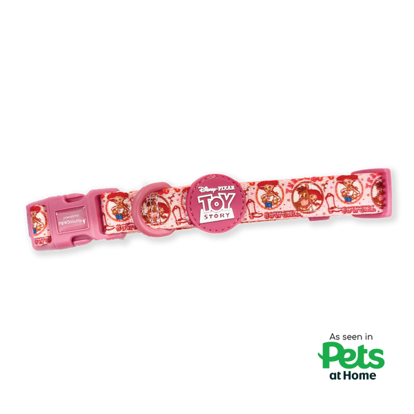 Disney Collar - Jessie