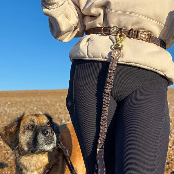 Handsfree Lead - Walkies Ready® Chocolate Brown