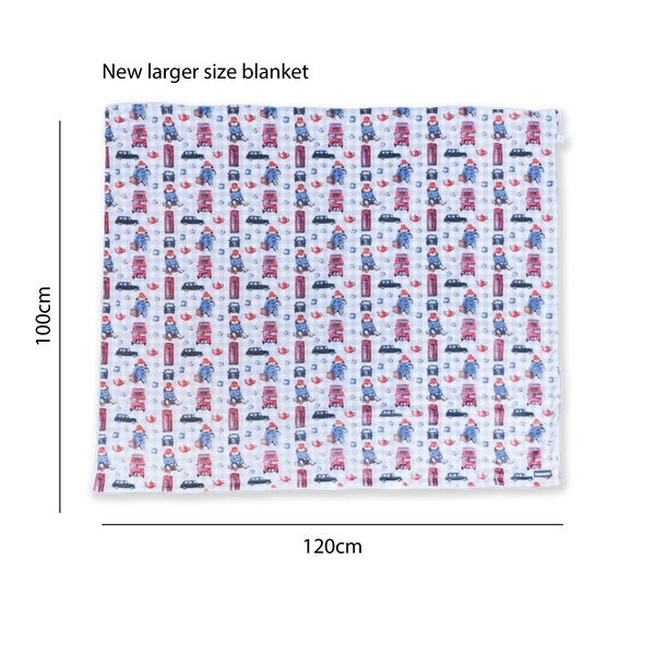 Paddington™ Dog Blanket - London