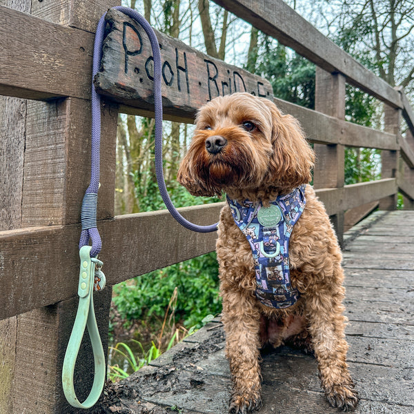 4ft Rope Lead - Winnie + Friends - Sage and Blue