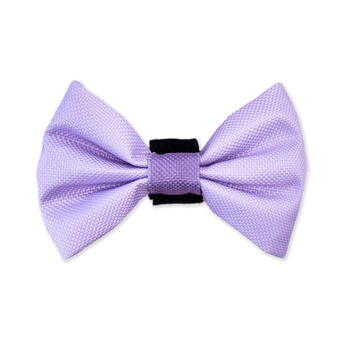 Bow Tie - Walkies Ready® - Lavender Lilac