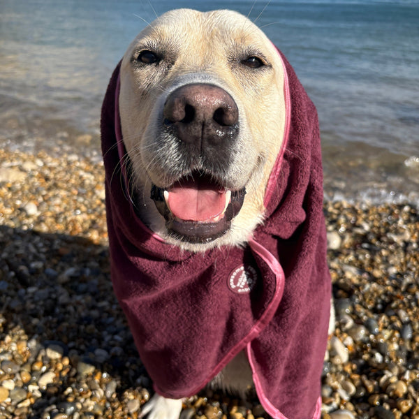 Microfibre Towel - Walkies Ready® Mulberry