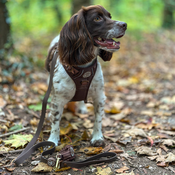 4ft Waterproof Lead - Walkies Ready® Chocolate Brown