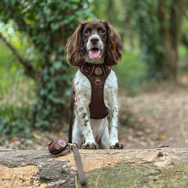 Poo Bag Holder - Walkies Ready® Chocolate Brown