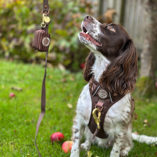 Poo Bag Holder - Walkies Ready® Chocolate Brown