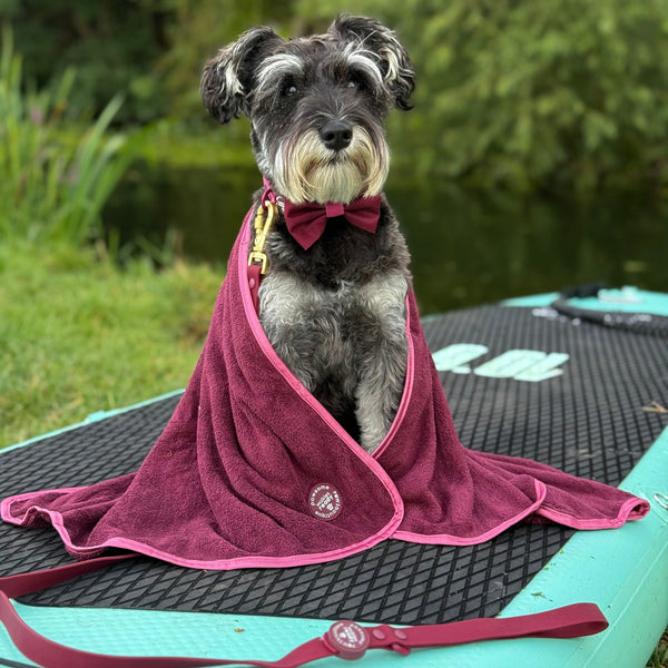 Microfibre Towel - Walkies Ready® Mulberry