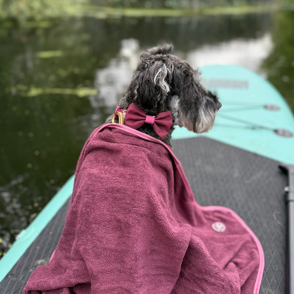 Bow Tie - Walkies Ready® - Mulberry