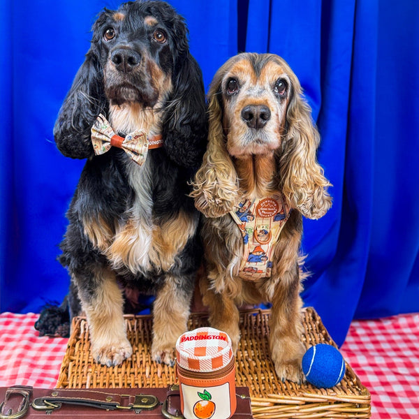 Paddington™ Bow Tie - Peckish Paddington